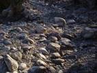 river bed