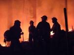 digging a firebreak.jpg