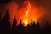 fire tornado2.jpg
