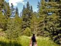 hiking